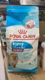 Picture of Royal Canin