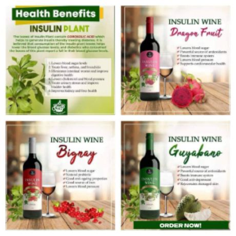 Healthy Insulin Plant Wine