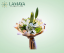 Picture of Assorted Flowers Round Bouquet 