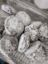 Picture of Crinkles (15pcs)