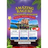Picture of Amazing Baguio