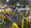 Picture of Student Rate Gym Membership (Monthly)