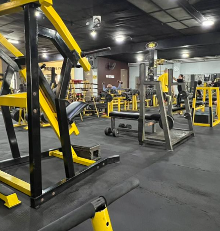 Picture of Professional Rate Gym Membership (Monthly)