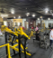 Picture of PWD, Senior Citizen and Single Parent Rate Gym Membership