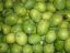 Picture of Indian Mango 