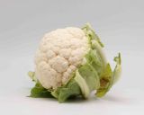 Picture of Cauliflower