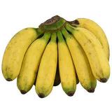 Picture of Lakatan nga Saging
