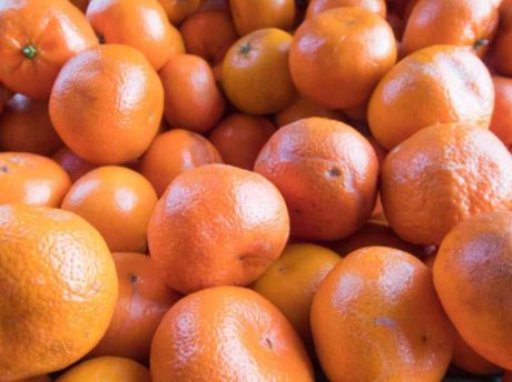 Picture of Orange