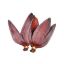 Picture of Puso Saging