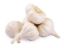 Picture of Garlic