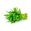 Picture of Kangkong (Per Bugkos)