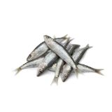 Picture of Tuloy (available only in the morning)