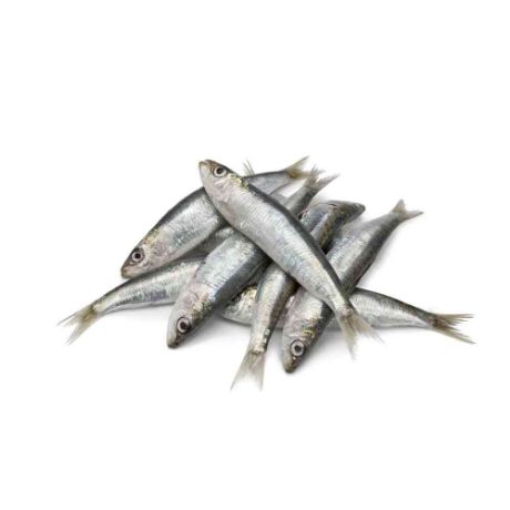 Picture of Tuloy (available only in the morning)