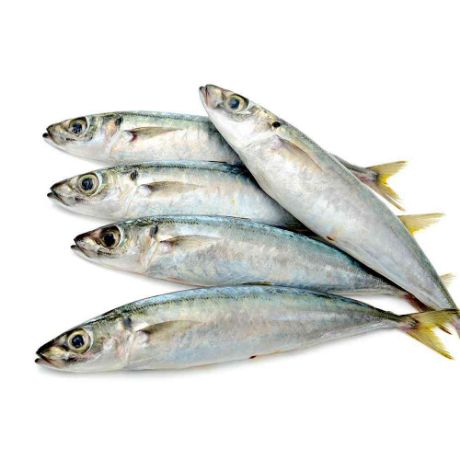 Picture of Galunggong (available only in the morning)