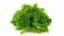 Picture of Lato-Lato 