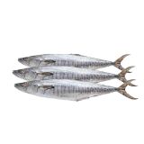 Picture of Tanigue (available only in the morning)