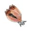 Picture of Boneless Bangus 
