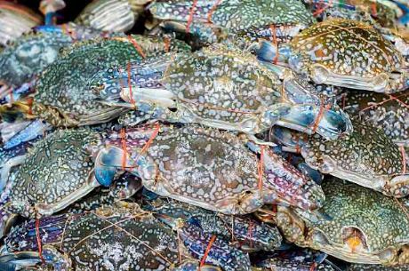 Picture of Kasag / Crab (available only in the morning)