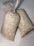 Picture of Sago