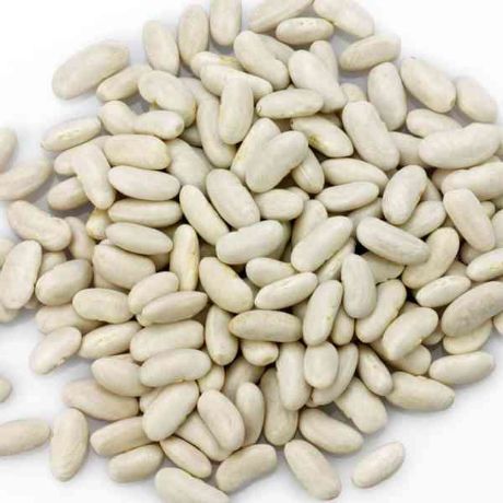 Picture of White Beans 