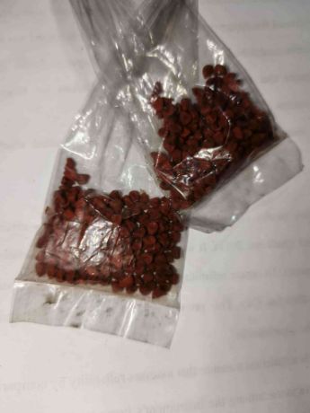 Picture of Asuete 