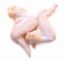 Picture of CHICKEN WINGS