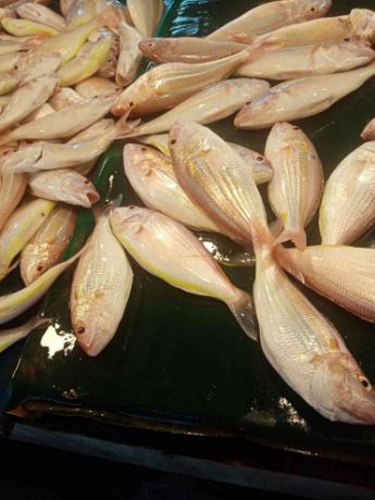 Picture of Laggaw (available only in the morning)