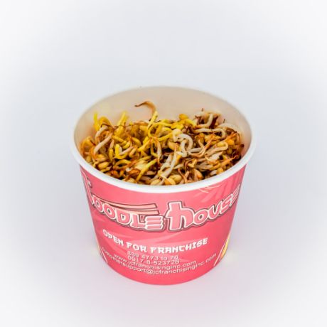 plain fried noodles