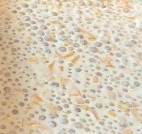 Mango sago