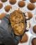 Nutella Ferrero Bomb