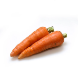 Picture of Carrot 