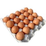 Picture of 1 Whole Tray of Eggs