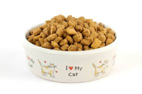 Picture of Dry Cat Food