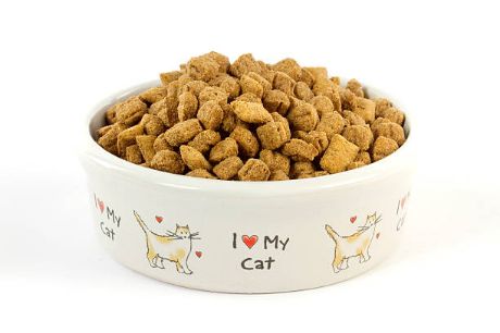 Picture of Dry Cat Food