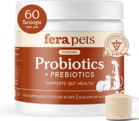 Picture of Probiotic Supplement